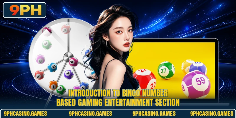 Introduction to Bingo number based gaming entertainment section