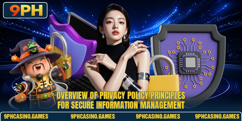 Overview of Privacy Policy principles for secure information management